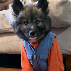 Meet your Posher, Trysen